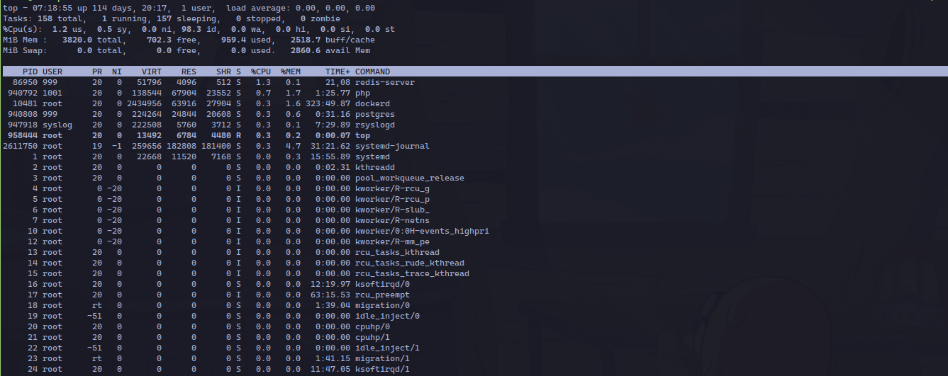 A server running the top command